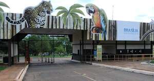La Nación / Confirman caso de gripe aviar en zoológico de Brasilia