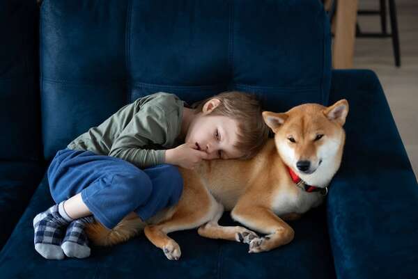 ¿Cómo ayudan los perros a personas con ansiedad o autismo?: terapias asistidas con animales - Mascotas - ABC Color
