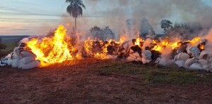 Queman más de 18.000 kilos de marihuana y desmantelan centros logísticos en Capitán Bado - .::Agencia IP::.