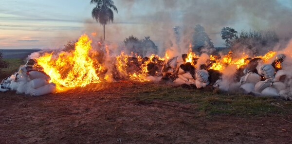 Queman más de 18.000 kilos de marihuana y desmantelan centros logísticos en Capitán Bado - .::Agencia IP::.