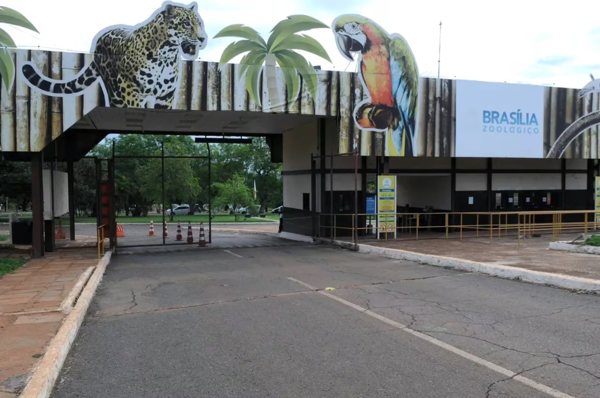 Confirman caso de gripe aviar en zoológico de Brasilia