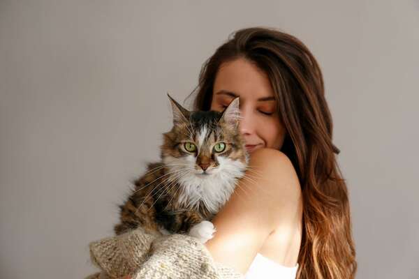 Día de Abrazar a un Gato: por qué se celebra y cómo mimar mejor a tu felino - Mascotas - ABC Color