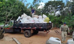 Senad elimina 18,4 toneladas de marihuana en Capitán Bado – Prensa 5