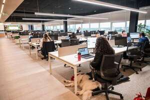 US$ 8 millones de inversión para hub de servicios - Negocios - ABC Color