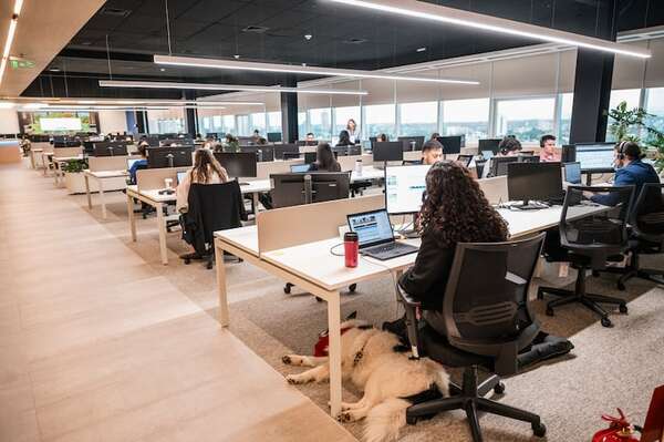 US$ 8 millones de inversión para hub de servicios - Negocios - ABC Color