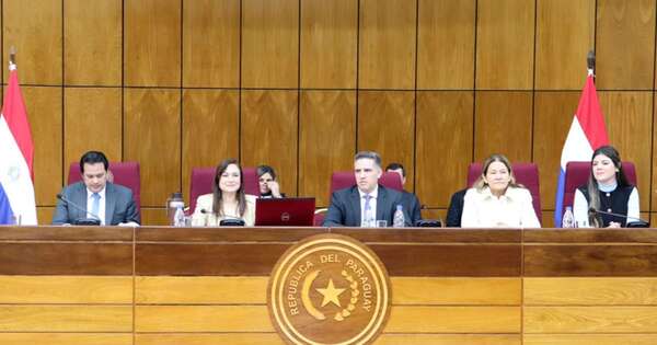 La Nación / Regulación de la IA: buscan fomentar el desarrollo de la investigación y el acceso equitativo