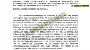 Senado aparta a camarista Kriskovich sin dar motivos claros  - El Observador