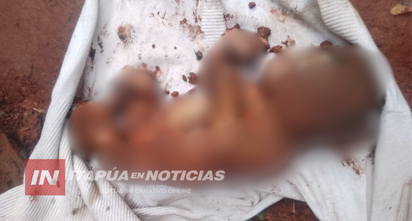 INVESTIGAN HALLAZGO DE UN FETO QUE HABRÍA SIDO EXTRAÍDO DE UNA LETRINA