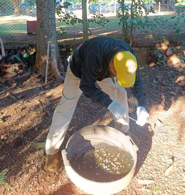 Senepa reporta 10 casos positivos de dengue en Arroyos y Esteros y refuerza trabajos preventivos en Cordillera - Nacionales - ABC Color
