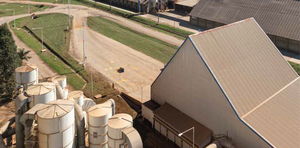 Complejo soja gener贸 ingresos por US$ 1.395 millones en primer cuatrimestre