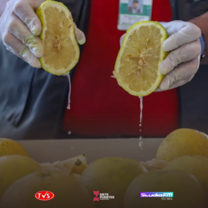 Paraguay Realiza su Primera Exportación de Pomelos Frescos a Argentina - «TVS DIGITAL»