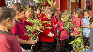 Bella Vista: Alumnos plantan árboles por Día Mundial del Medio Ambiente