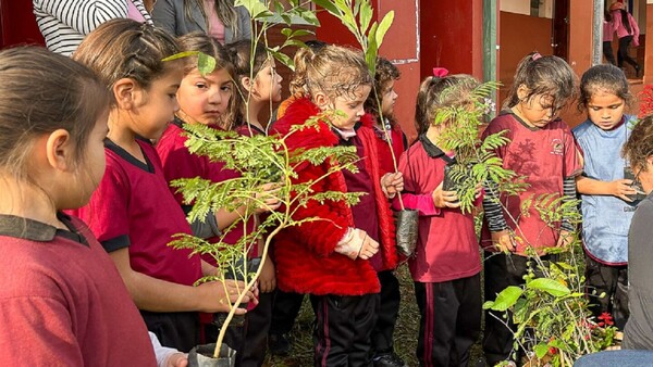 Bella Vista: Alumnos plantan árboles por Día Mundial del Medio Ambiente