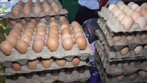 Singapur abre su mercado a los huevos producidos en Paraguay