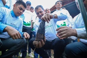 “Sembrando conciencia”: estudiantes y funcionarios del MAG plantarán 10.000 árboles - ADN Digital