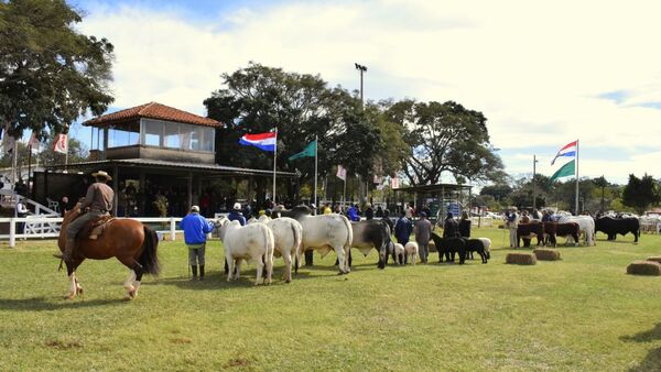 Expo Paraguay 2025 rompe récords con más de 2.600 animales inscriptos
