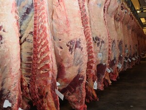 Faena bovina creció casi 30% en mayo con más de 220.000 cabezas