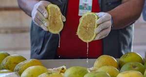 La Nación / Concretan primer envío de más de 28 toneladas de pomelo a Argentina