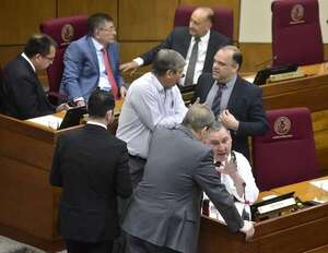 Senadores analizarán en dos semanas aumentar pena de cárcel de hasta 15 años contra adolescentes infractores - Política - ABC Color