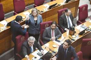 Senado rechaza que Ruta PY17 “de la Soberanía” se llame “Niños mártires de Acosta Ñu”  - Política - ABC Color
