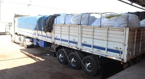 Paraguay celebra el envío de una carga de 28.500 kg de pomelo al mercado argentino