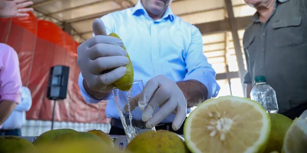 Pequeños productores celebran la primera exportación de pomelos a la Argentina • PARAGUAY TV