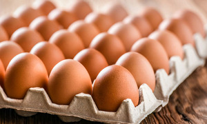Singapur abre su mercado a la compra de huevos de Paraguay - OviedoPress