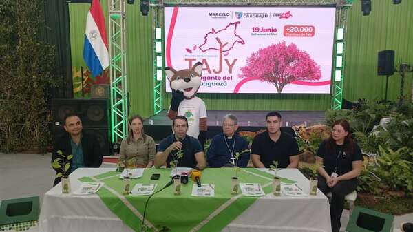 Lanzan campaña de reforestación con más de 20.000 plantines de Tajy en el departamento de Caaguazú - Nacionales - ABC Color