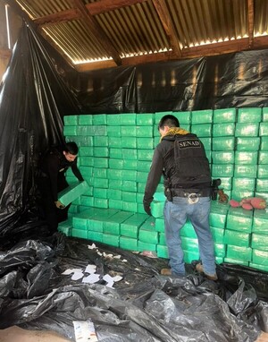 Golpe de USD 2,4 millones: desmantelan megaestructura y eliminan más de 16 toneladas de marihuana - .::Agencia IP::.