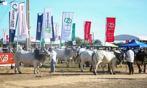 Expo Pioneros del Chaco 2025 recibió a más de 15.000 visitantes y anuncia su próxima edición - OviedoPress