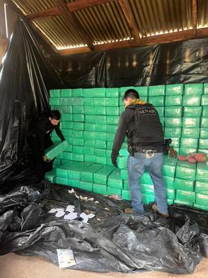 Desmantelan complejo de producción de marihuana a gran escala en Villa Ygatimí - 1000 Noticias