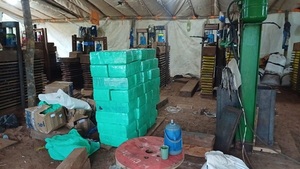 Desbaratan megaestructura de Procesamiento de Marihuana en Villa Ygatimí