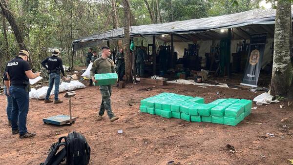 Senad desmantela megaestructura de producción de marihuana en Villa Ygatimí