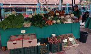 Familias ofertan productos del campo sin intermediarios en San Lorenzo - .::Agencia IP::.