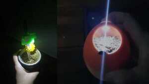 Con luz’i en la guampa y la bombilla chuleás quemarte en la oscuridad