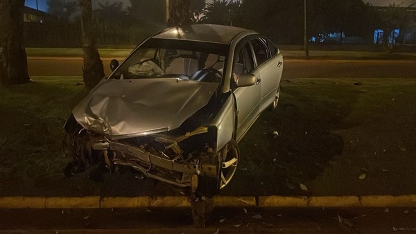 Auto embiste árbol al esquivar a un perro: hay dos heridos - ADN Digital