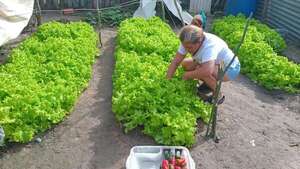 Historias de vida: producción hortícola en pleno aislamiento en Fuerte Olimpo - Noticias del Chaco - ABC Color