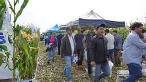 Presentan 22 híbridos de maíz en jornada técnica de la Cooperativa Volendam