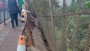 Cierran paso peatonal hacia Brasil tras colapso de vallado en el Puente de la Amistad - ADN Digital