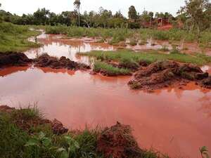 Parlamentarios buscan prohibir el uso de cianuro y el mercurio en la minería de oro - Política - ABC Color