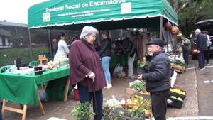 Productores agroecológicos ofrecen nuevas variedades de mandarinas y plantines en Encarnación