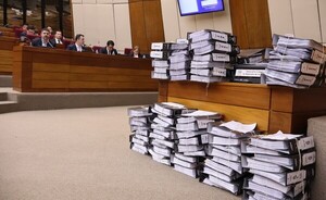 Intendente de Asunción presentó documentos en Diputados