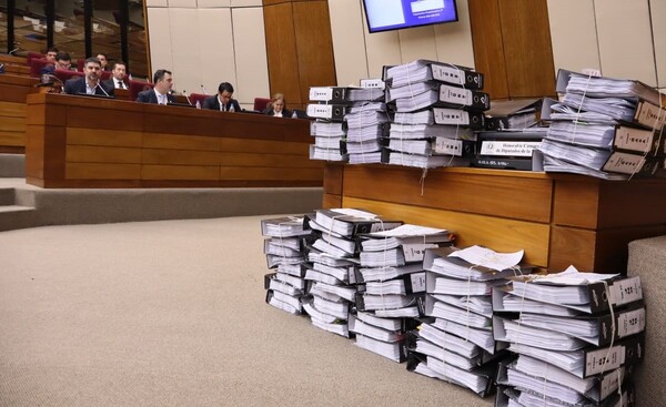 Intendente de Asunción presentó documentos en Diputados