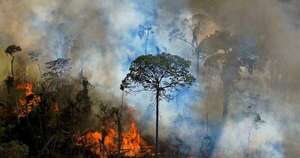 La Nación / Deforestación de la Amazonía brasileña se aceleró