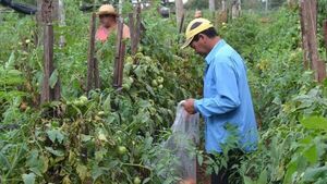 Presentaron programa para aplicar agricultura regenerativa