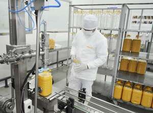 Huevos procesados habilitados para exportar a Singapur - ABC Rural - ABC Color