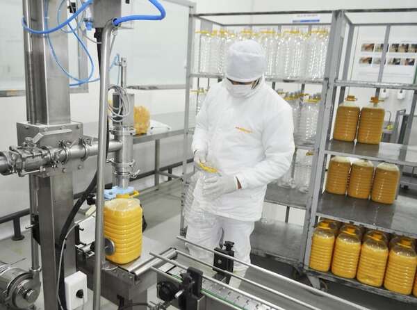 Huevos procesados habilitados para exportar a Singapur - ABC Rural - ABC Color