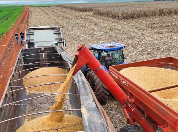 Planta de biocombustibles en Canindeyú: inversión demandará medio millón de toneladas de maíz - Economía - ABC Color
