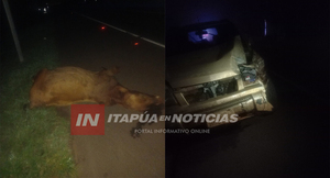 TRINIDAD: CONDUCTOR EMBISTE A UNA VACA EN LA RUTA PY06