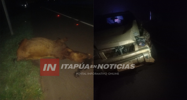 TRINIDAD: CONDUCTOR EMBISTE A UNA VACA EN LA RUTA PY06